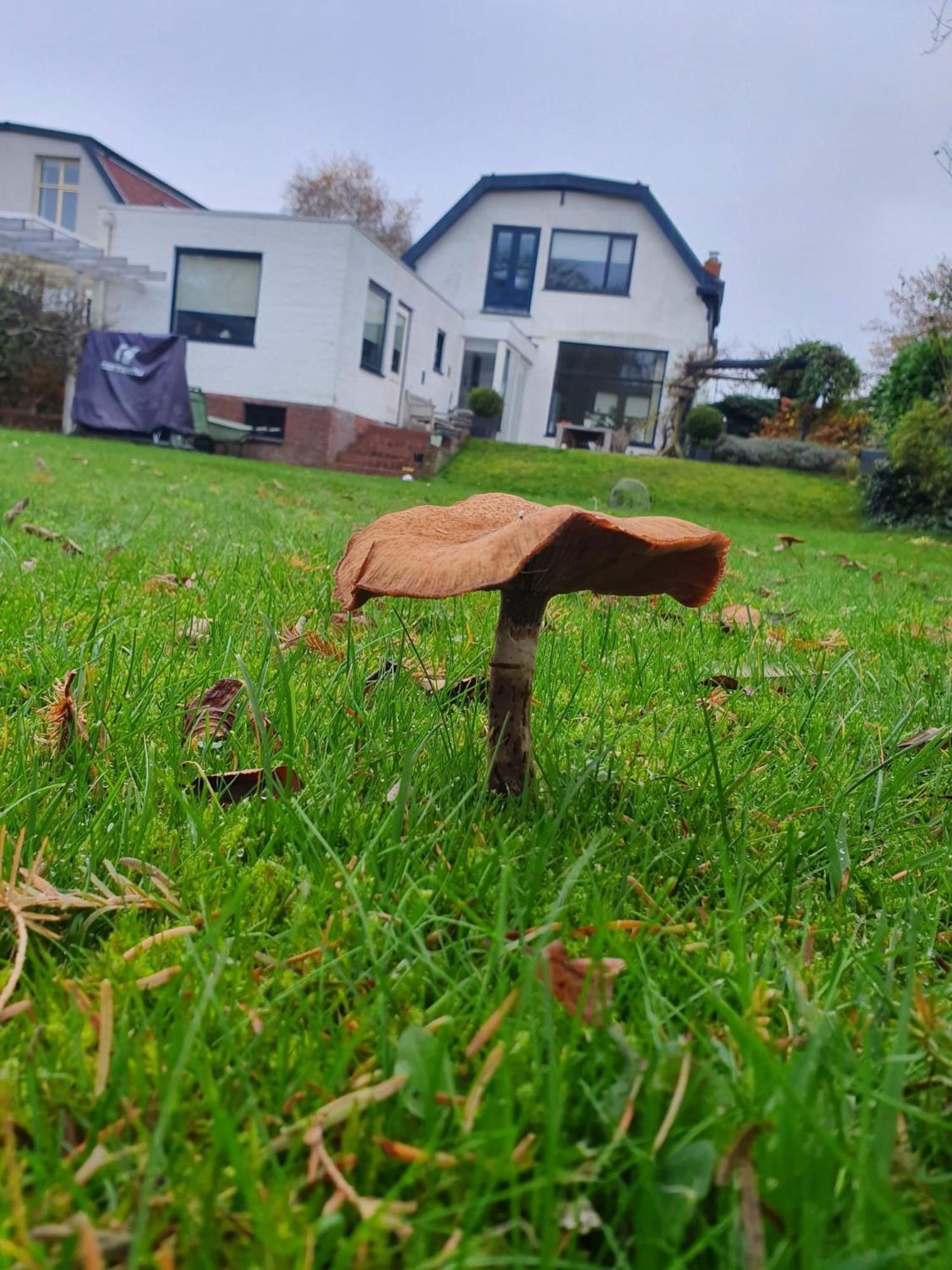 Zelfstandig Gastenverblijf In Het Groene Haren Nabij Groningen Zewnętrze zdjęcie