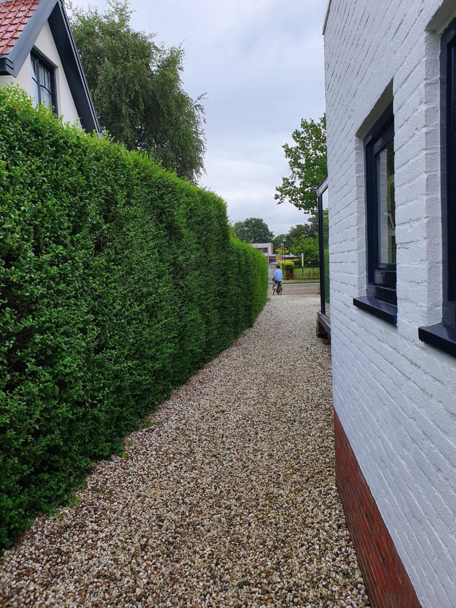 Zelfstandig Gastenverblijf In Het Groene Haren Nabij Groningen Zewnętrze zdjęcie